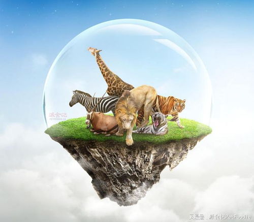 寵物食品品牌如何以公益性營銷實(shí)現(xiàn)銷售增長與品牌差異化